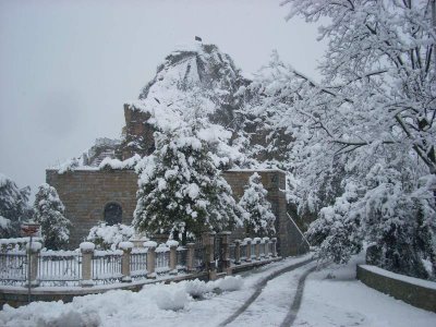 Aiello sotto la neve 